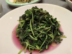 蒜泥苋菜-金哥私房菜馆(张府园总店)
