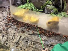 -正佳雨林生态植物园