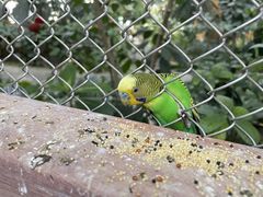 -南宫五洲植物乐园