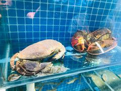 -大城·烧烤海鲜大排档(台东店)