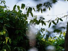 -老门东历史文化街区