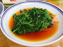 -张鸟园农家乐(张鸟园店)