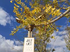 -南华禅寺