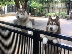 -TrueLove @ Neverland (Husky Cafe)