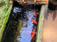 -赤宴·川菜(玉林店)