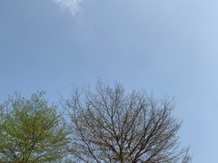 -深圳湾公园(南山区)