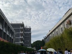 -长洲岛