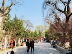 -西安关中民俗艺术博物院
