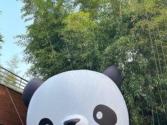 -杭州植物园
