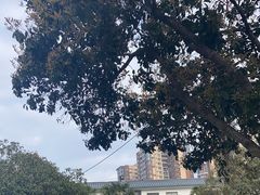 -印象泰和园(望丛西路店)