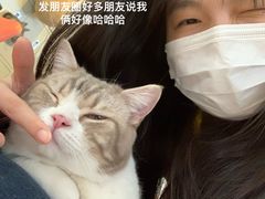 -平行世界·猫咖(首经贸店)