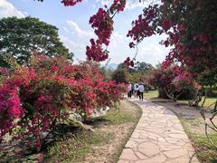-中国科学院西双版纳热带植物园