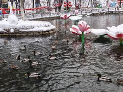 -水磨沟公园
