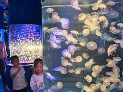 -重庆欢乐海底世界