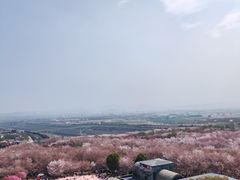 -古柏渡飞黄旅游区