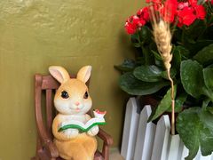 -三忘湖 SWANSEEN(柳荫公园店)