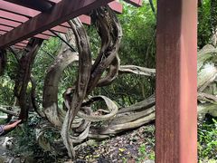 -吴山景区