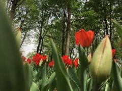 -长春公园(普阳街道)