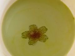 -星巴克(深圳欢乐颂店)