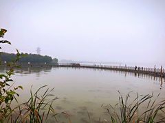 -溱湖国家湿地公园