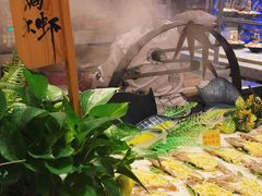 -水之梦(黄浦店)