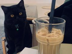 桂米拿铁-士多咖啡·Stop Coffee