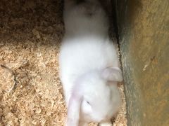 -上海大自然野生昆虫馆(东方明珠·爬宠昆虫探索中心)