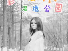 -重庆彩云湖湿地公园