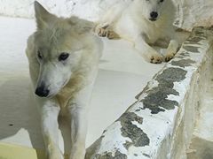 -大连圣亚海洋世界