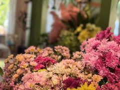 -春暖花开(西溪店)