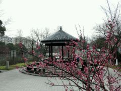 -范蠡湖公园