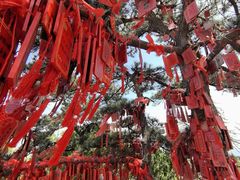 -天津盘山风景名胜区