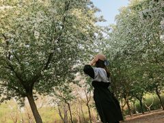 -长春公园(普阳街道)