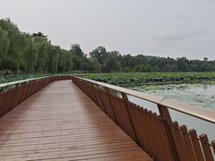 -世纪缘湖滨花园酒店(玄武湖店)