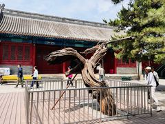 -大钟寺古钟博物馆