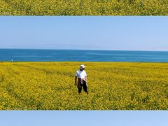 -青海湖国家重点风景名胜区