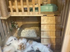 -友达面馆·酸菜鱼面(钱塘区店)