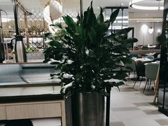 -港丽餐厅(杭大店)