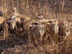 -蟠龙山长城景区