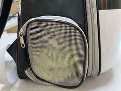 -瑞派宠物医院·24小时骨科·心脏·核磁(哈尔滨南岗店)