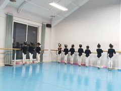 -西安小天鹅艺术团(曲江Alice店)