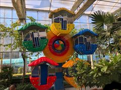 -南宫五洲植物乐园