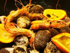 澳门氹仔桑拿虾（活虾）-御龙阁海鲜酒楼