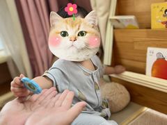 -YoKID优儿学堂早教托育园(青塔路店)