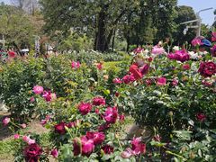 -人民公园(罗湖区)