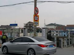 -芦潮港集贸市场