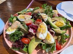 -百好乐宠物友好餐厅(朝外大街店)