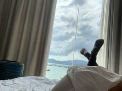 -杨梅坑