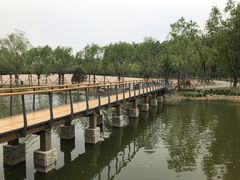 -东郊湿地公园