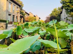 -万源龙顺度假庄园生态观光园